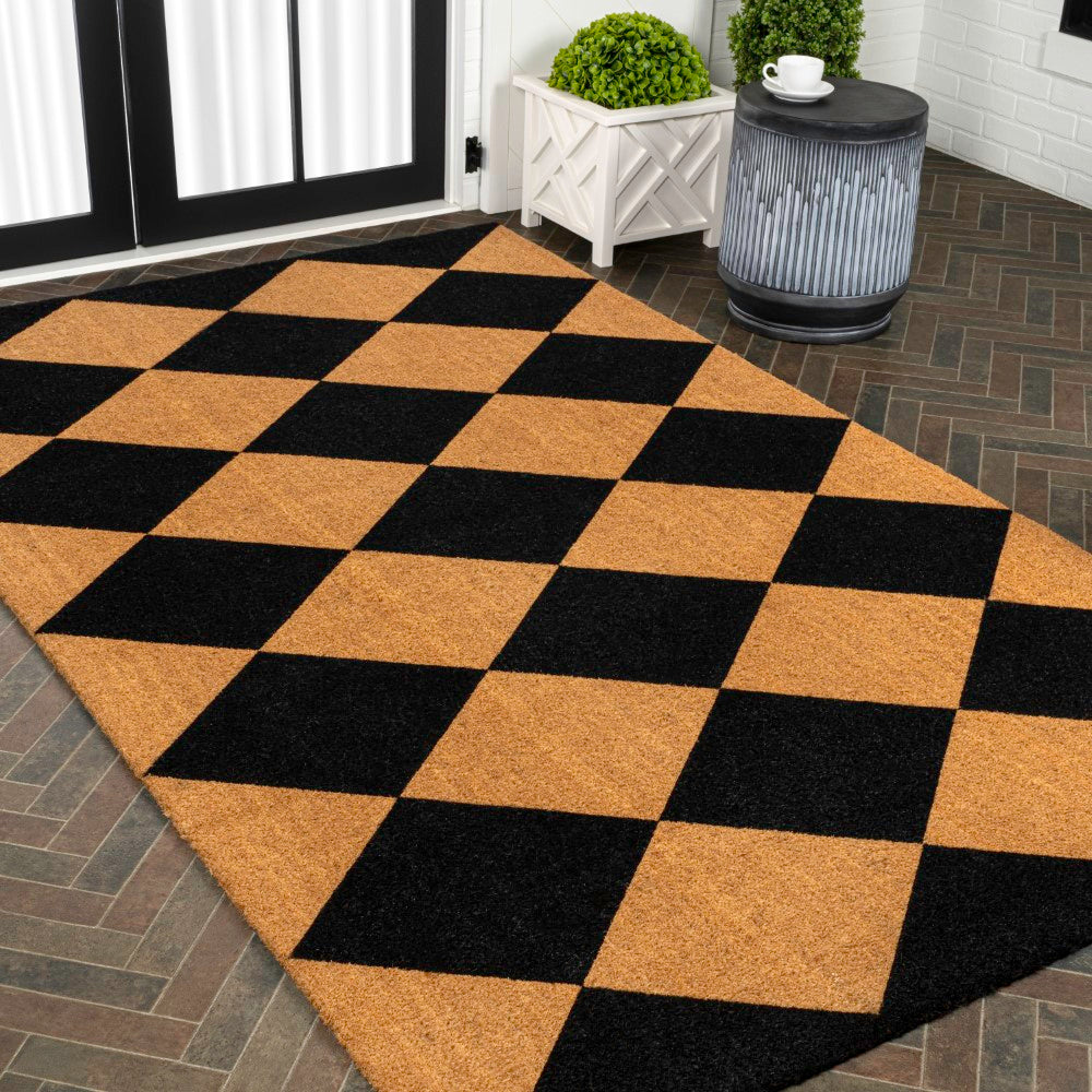 Drake Modern Classic Diamond-patterned Coir Area Rug