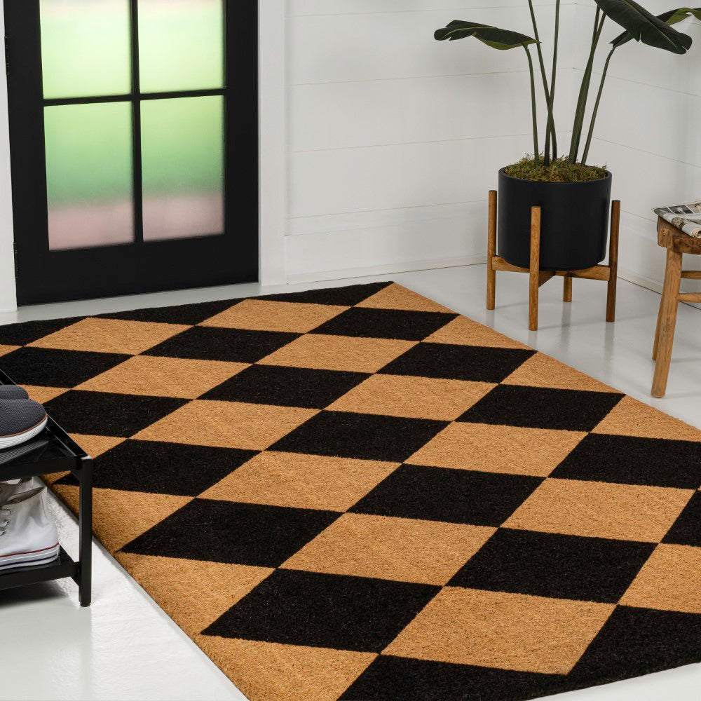 Drake Modern Classic Diamond-patterned Coir Area Rug
