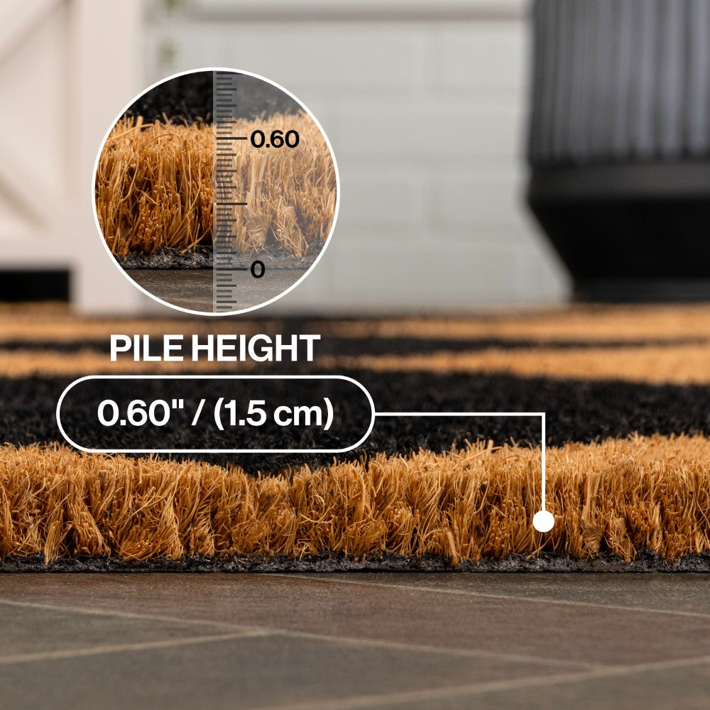 Drake Modern Classic Diamond-patterned Coir Area Rug