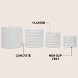 Veyra Modern Minimalist Handmade Concrete Fluted Sculptural Cylinder Planter Set with Drainage Holes
