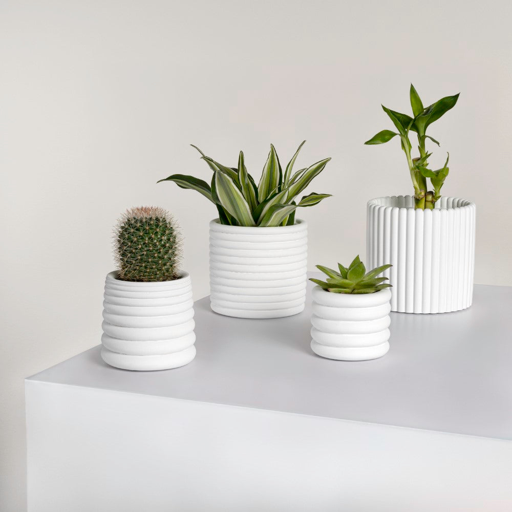Veyra Modern Minimalist Handmade Concrete Fluted Sculptural Cylinder Planter Set with Drainage Holes