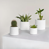 Veyra Modern Minimalist Handmade Concrete Fluted Sculptural Cylinder Planter Set with Drainage Holes