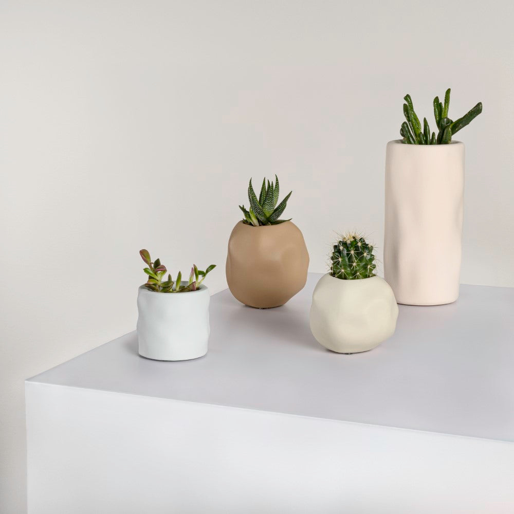 Arvo Modern Minimalist Handmade Concrete Organic Sculptural Cylinder and Round Planter Set with Drainage Holes