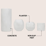Arvo Modern Minimalist Handmade Concrete Organic Sculptural Cylinder and Round Planter Set with Drainage Holes