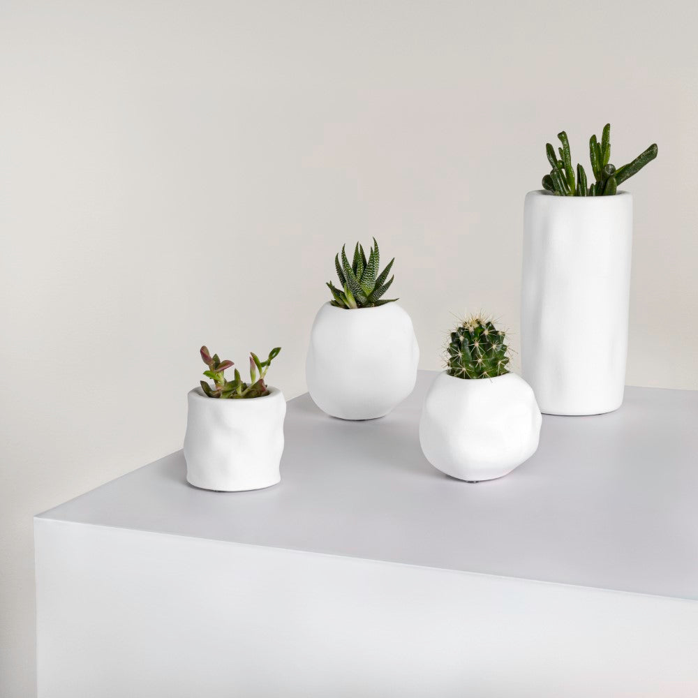 Arvo Modern Minimalist Handmade Concrete Organic Sculptural Cylinder and Round Planter Set with Drainage Holes