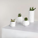 Arvo Modern Minimalist Handmade Concrete Organic Sculptural Cylinder and Round Planter Set with Drainage Holes