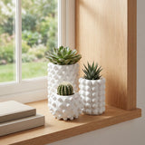 Nyra Modern Minimalist Handmade Concrete Bubble Cylinder and Round Planter Set