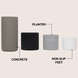 Floren Modern Minimalist Handmade Concrete Fluted Cylinder Planter Set