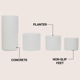 Floren Modern Minimalist Handmade Concrete Fluted Cylinder Planter Set