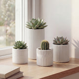 Floren Modern Minimalist Handmade Concrete Fluted Cylinder Planter Set
