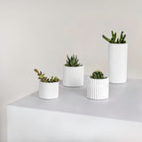Floren Modern Minimalist Handmade Concrete Fluted Cylinder Planter Set