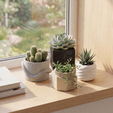 Mossel Modern Minimalist Handmade Concrete Geometric Planter Set with Drainage Holes