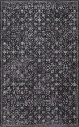 Pinehollow Distressed All-over Floral Border Non-slip Machine-washable Area Rug