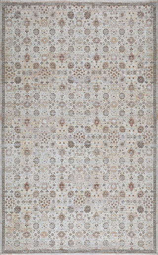 Pinehollow Distressed All-over Floral Border Non-slip Machine-washable Area Rug