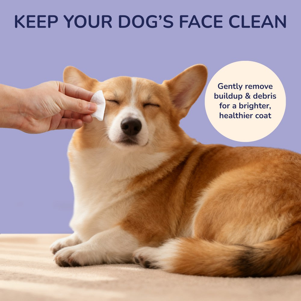 Pawmi Dog Eye and Tear Stain Hypoallergenic Wipes with Extracts of Chamomile and Oat Kernel