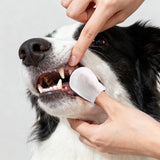 Whiskli Dog Dental Finger Hypoallergenic Wipes with Extracts of Aloe Vera Leaf, Coconut Oil, Honey
