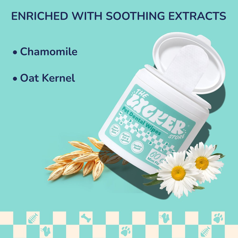 Whiskli Dog Dental Finger Hypoallergenic Wipes with Extracts of Aloe Vera Leaf, Coconut Oil, Honey