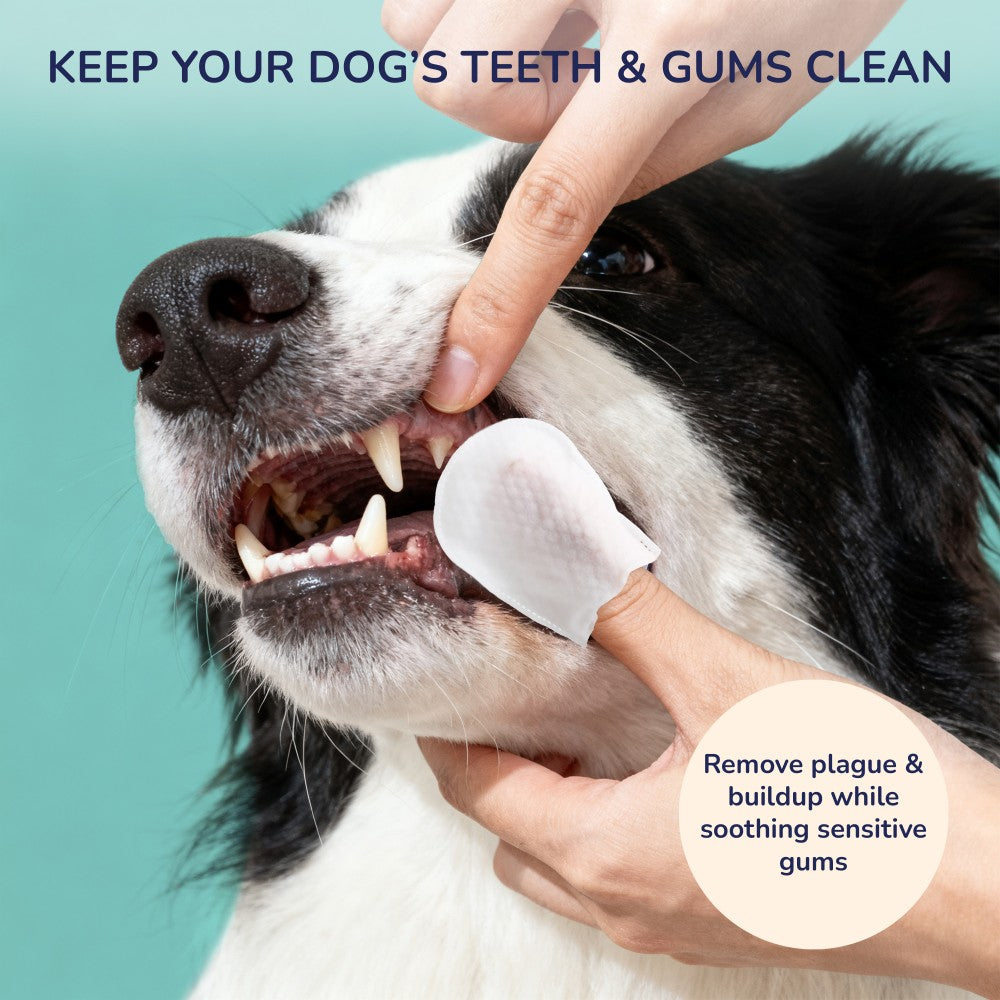 Whiskli Dog Dental Finger Hypoallergenic Wipes with Extracts of Aloe Vera Leaf, Coconut Oil, Honey