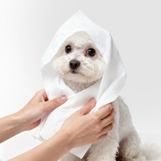 Ringy Dog Bath and Grooming Towels - Soft & Ultra-Absorbent