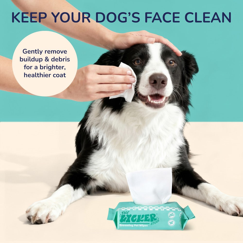 Tommy Mini Dog Body Hypoallergenic Wipes with Extracts of Aloe Vera Leaf, Chamomile, Shea Butter