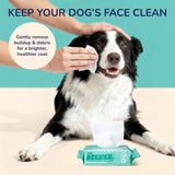 Tommy Mini Dog Body Hypoallergenic Wipes with Extracts of Aloe Vera Leaf, Chamomile, Shea Butter