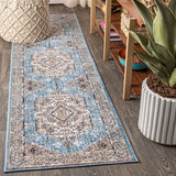 Norfolk Kesan Vintage Medallion Area Rug
