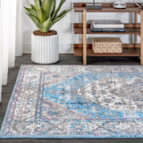 Norfolk Kesan Vintage Medallion Area Rug