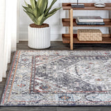 Norfolk Kesan Vintage Medallion Area Rug