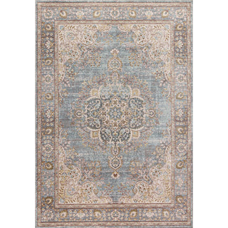 Muhu Goa Floral Medallion Traditional Area Rug