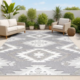 Sabugal Sumak High-Low Pile Neutral Indoor/Outdoor Area Rug