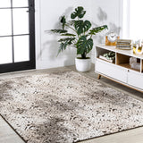 Tannisby High-Low Shabby Damask Indoor/Outdoor Area Rug