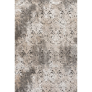 Tannisby High-Low Shabby Damask Indoor/Outdoor Area Rug