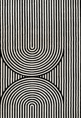 Sophia High-Low MidCentury Modern Arch Stripe Two-Tone Indoor/Outdoor Area Rug