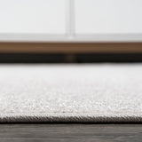 Trivor Haze Solid Low-Pile Area Rug Ivory