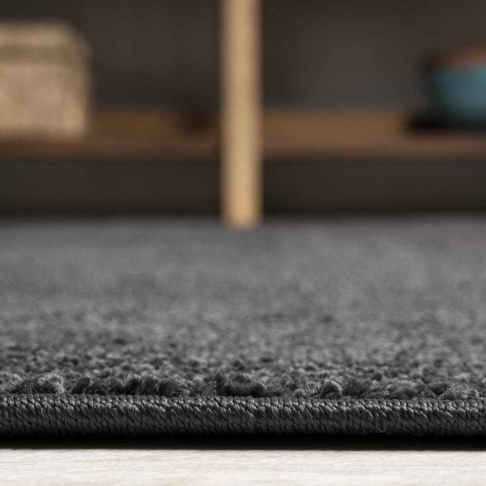 Trivor Haze Solid Low-Pile Area Rug Black