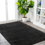 Trivor Haze Solid Low-Pile Area Rug Black