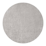 Trivor Haze Solid Low-Pile Area Rug Light Gray