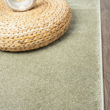Trivor Haze Solid Low-pile Area Rug Green