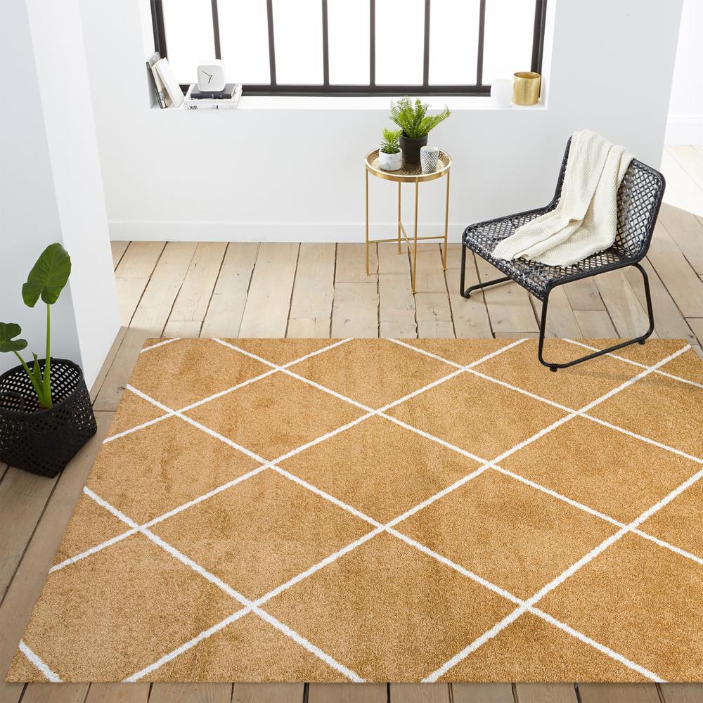 Bounty Minimalist Diamond Trellis Area Rug