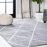 Bounty Minimalist Diamond Trellis Area Rug