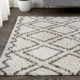 Mealhada Soller Diamond Trellis Shag Area Rug