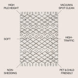 Montijo Algaida Moroccan Diamond Shag Area Rug