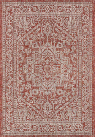 Luke Medallion Textured Weave Indoor/outdoor Area Rug