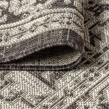 Luke Medallion Textured Weave Indoor/outdoor Area Rug