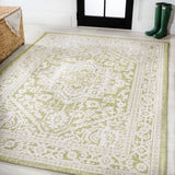 Luke Medallion Textured Weave Indoor/outdoor Area Rug