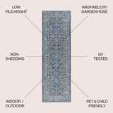 Huon Palazzo Vine and Border Indoor/Outdoor Area Rug