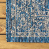 Huon Palazzo Vine and Border Indoor/Outdoor Area Rug