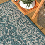 Huon Palazzo Vine and Border Indoor/Outdoor Area Rug