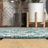 Huon Palazzo Vine and Border Indoor/Outdoor Area Rug
