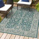 Huon Palazzo Vine and Border Indoor/Outdoor Area Rug